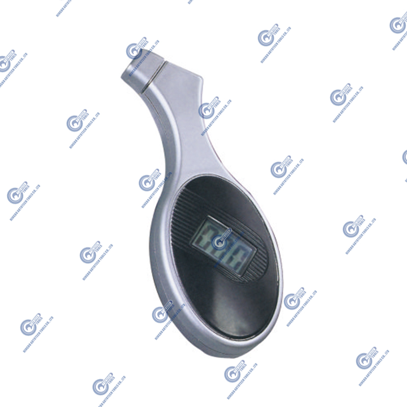 DNG-IV Digital Tyro METIOR (5-100 PSI)
